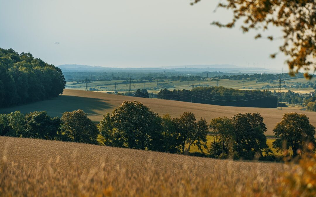 The Future of Farming: How Crop Monitoring Systems in MN Are Transforming Agriculture for the Better in 2025