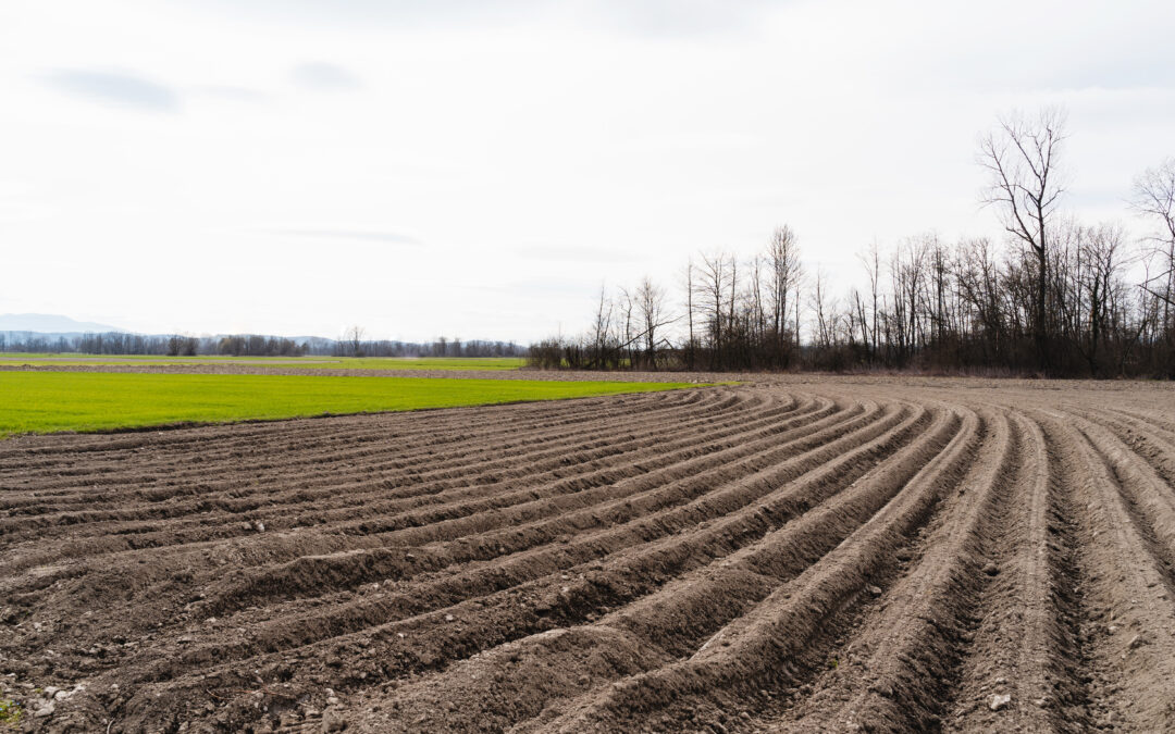 Essential Pre-Planting Field Checklists: Power Steps to Get Ready Before Spring Work Begins
