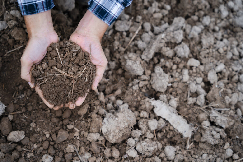 soil health beyond fertilizer