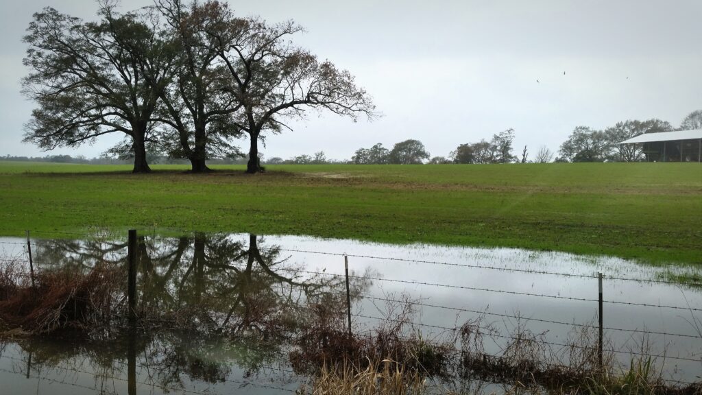 soil health beyond fertilizer