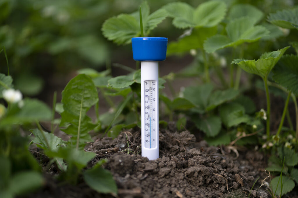 early planting mistakes