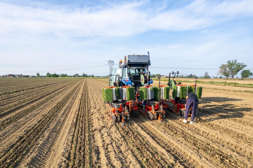 spring planter maintenance checklist